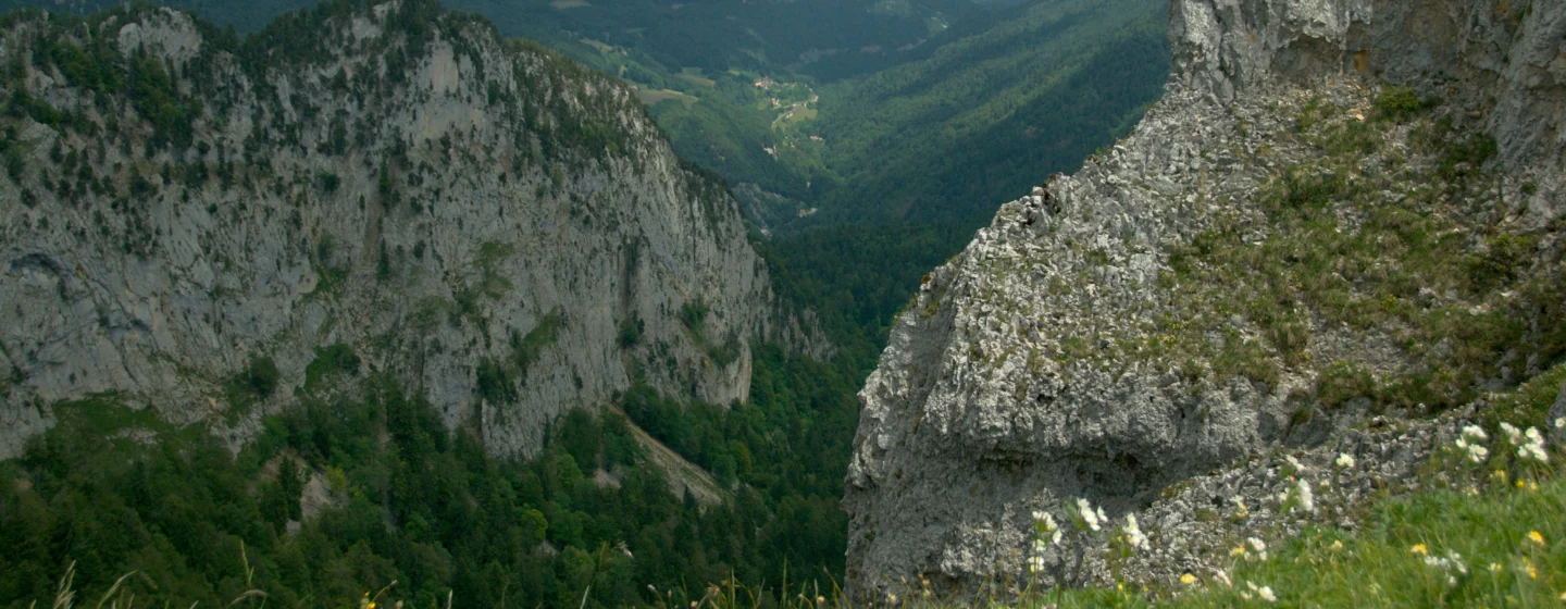 Via ferrata Via Ferrata des Baumes du Verneau, Nans-sous-Sainte-Anne - photo illustrative