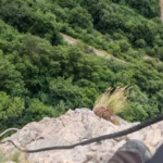 Via Ferrata de Chironne - Col du Rousset, Vercors